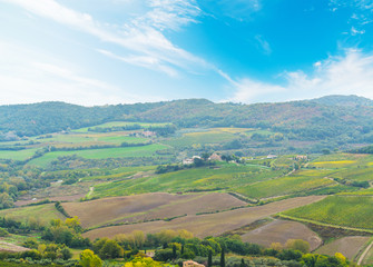 Fototapeta na wymiar green valley in Tuscany