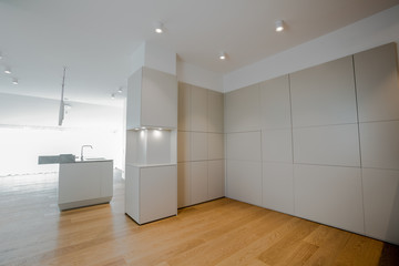 House interior. Flat. Apartment. High definition photo.