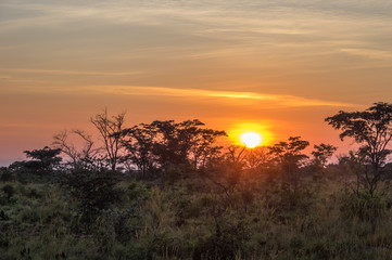 Welgevonden Game Reserve is Located within the Waterberg Mountains in Limpopo South Africa