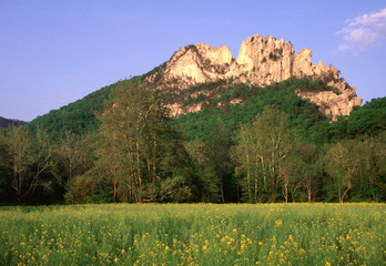 Seneca Rocks