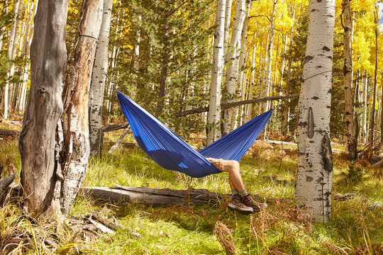 Man relaxing in hammock, Flagstaff, Arizona, USA