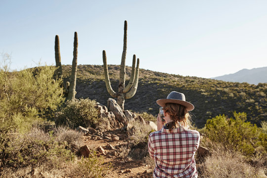 Woman photographing cacti, rear view, Sedona, Arizona, USA