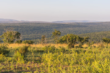 Welgevonden Game Reserve is Located within the Waterberg Mountains in Limpopo South Africa