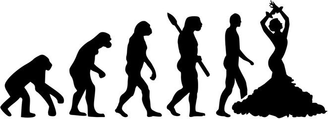 Flamenco Evolution