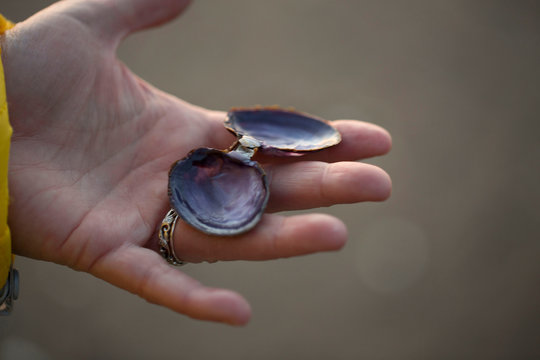 Woman holding open clam shell, close-up