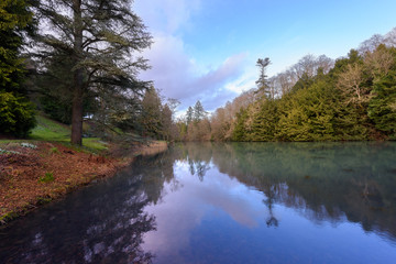 January Winter Lake, Reflections of Trees and Sky