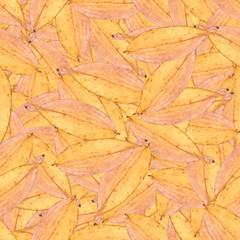 seamless background pattern texture made of  leaves