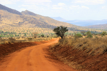 Fototapeta na wymiar Landschaft in Kenia