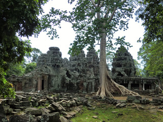 Ta Prohm tree root covered ancient abandoned lost temple in Siem Reap, Cambodia