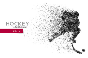 Fototapeta na wymiar silhouette of a hockey player from particles.