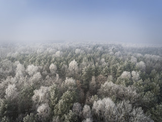Aerial view of the winter background with a snow-covered forest