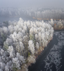 Aerial view of the winter background with a snow-covered forest