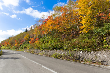  磐梯吾妻スカイラインの秋