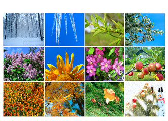 blank with twelve colored images of nature for calendar © alexmak