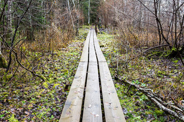 Fototapeta premium Diminishing perspective of wooden footbridge