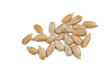 sunflower seeds on white background
