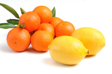 lemons and oranges fruit isolated on white