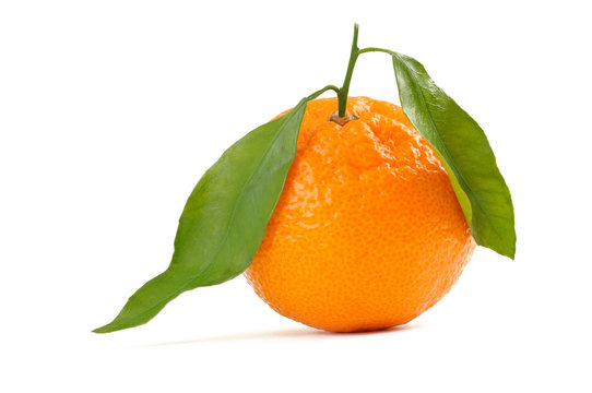 orange fruit with leafs