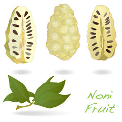 Noni isolated