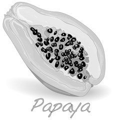 Fototapeta premium Fresh and tasty papaya