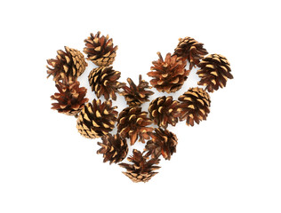 Isolated heart of pine cones on a white background