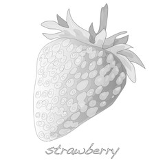 berry strawberry