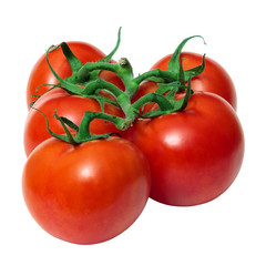 tomatoes branch on a white background