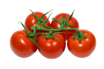 tomatoes branch on a white background