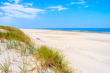 Green grass sand dune on Debki beach, Baltic Sea, Poland - obrazy, fototapety, plakaty