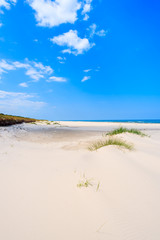 View of white sand Debki beach, Baltic Sea, Poland