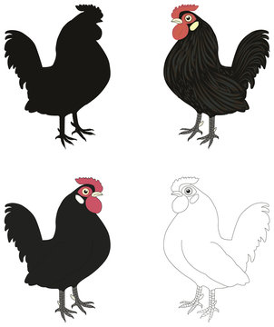Set of various cocks, silhouette, outline, painted.