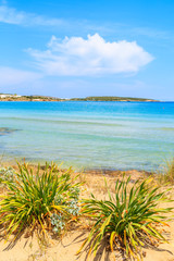 Fototapeta na wymiar View of beautiful sandy Santa Maria beach with azure sea water on coast of Paros island, Greece