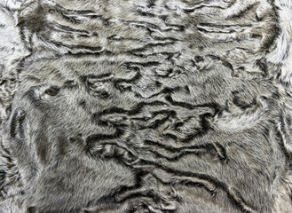 The fur is silver karakul lambskin texture, background