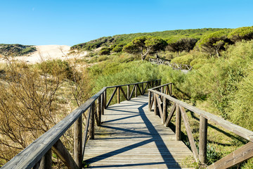 Fototapeta premium Wooden walkway in Bolonia beach. Tarifa, Andalusia