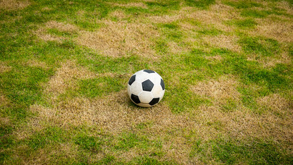 Ball on lawn
