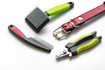 concept pet care and grooming on white background