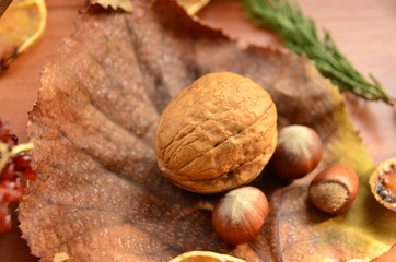 Yaprak üzerinde Ceviz ve fındık