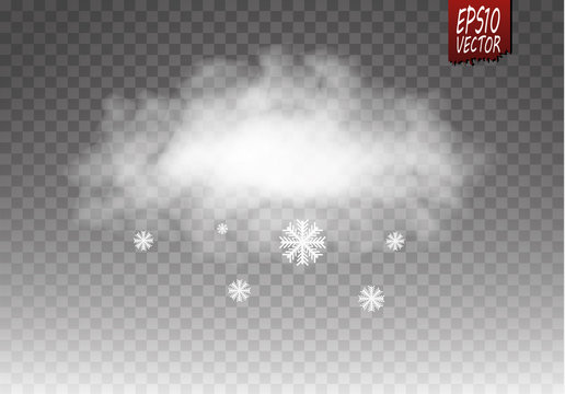 Vector illustration of cool single weather icon - cloud with snow in the dark sky