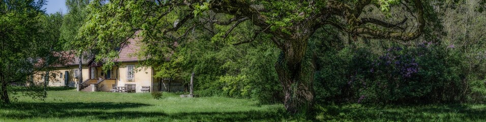 altes jaegerhaus im wald panorama