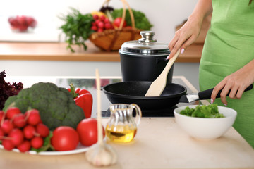 Young woman is cooking by the stove in the kitchen, close up.