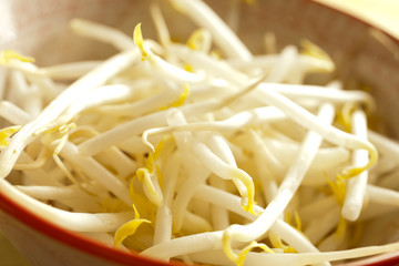 fresh mung bean sprouts