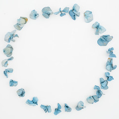 Frame of Hydrangea flowers. Flat lay, top view, isolated on white background