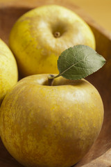 Golden Apples