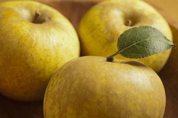 Golden Apples