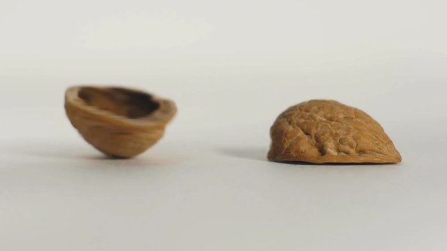 In a nutshell - conceptual, get to the point