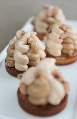 Chocolate and coffee cream swirls, served on a thick rich chocolate shortbread. Shot with a beautiful creamy shallow death of field.
