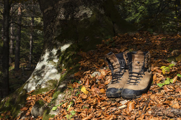 Old touristic shoes on a autumn leaves in a wood