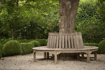 Circular Tree Bench