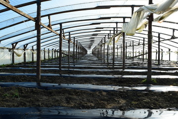 Greenhouses made of polymer film. Early spring in the garden greenhouses