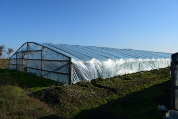 Greenhouses made of polymer film. Early spring in the garden greenhouses